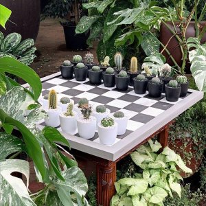 B&W plant chess.jpg