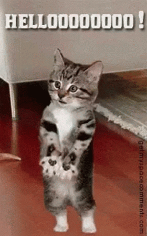 1733053731961.gif