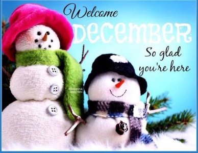 14b149d64228257a8d1589ced77e0bee--welcome-december-winter-months.jpg