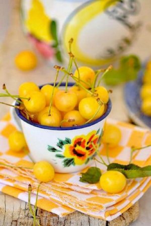 yellow fruits.jpg