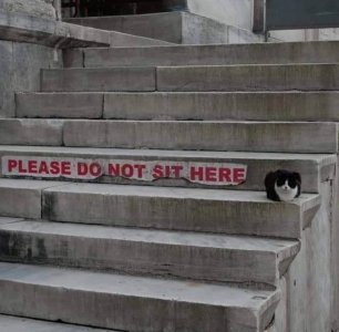 donotsit.jpg