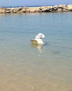 IMG_9713.jpeg