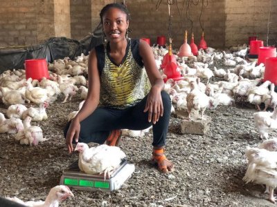 Budget for Rearing 100 Broiler Chickens 2023.jpg