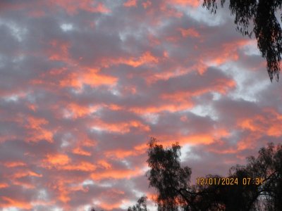 IMG_6662.JPG