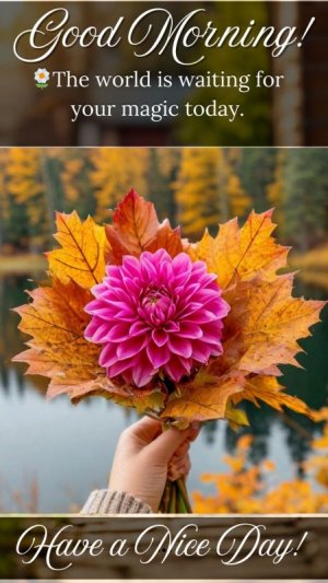 96c4936632ceae76bd0233818e4e2a48[1].jpg