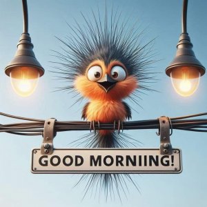 bbf7bb97dccf1fe15b1273232bd4cb05[1].jpg
