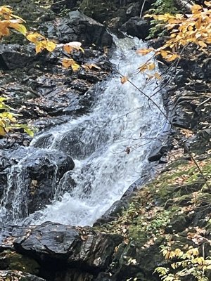 IMG_4120.jpeg