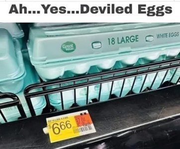 468860174_1000536865424522_5506095390767264557_n.jpg