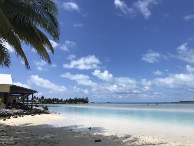 Beach Bar in Aitutaki Cook Islands.JPEG