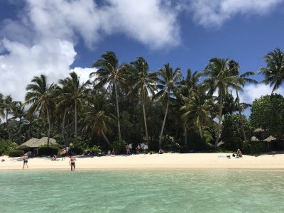 Beautiful Palm-lined Beach in Rarotonga, Cook Islands.jpg