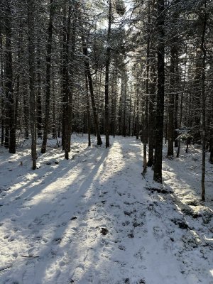 IMG_6924.jpeg