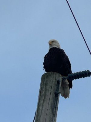 IMG_9304.jpeg