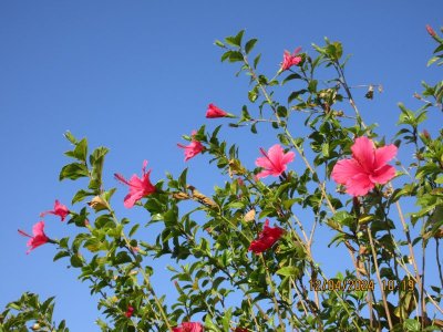 IMG_6736.JPG