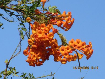 IMG_6730.JPG