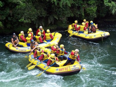 yellow rafters.jpg