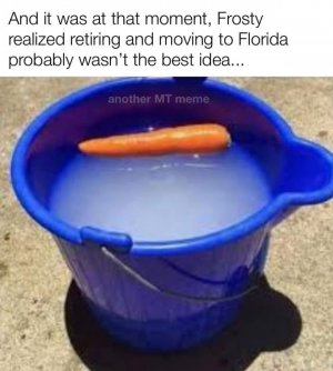 IMG_9737.jpeg