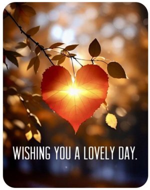43dd6750c3f1bce70d39a8e0c3e7024c[1].jpg