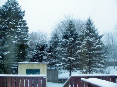 snow 12-5-24b.jpg