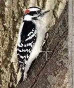 IMG_6957.jpeg