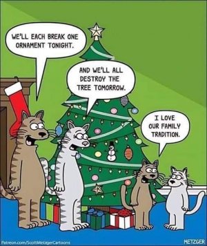FB_IMG_1732455836462.jpg