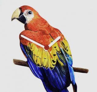 clock parrot.jpg