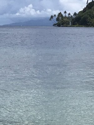 View of Huahine Coast.jpg