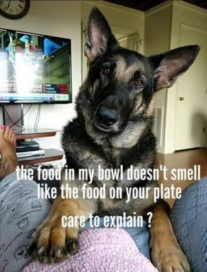 1000006990.jpg
