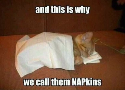 napkin joke.jpg