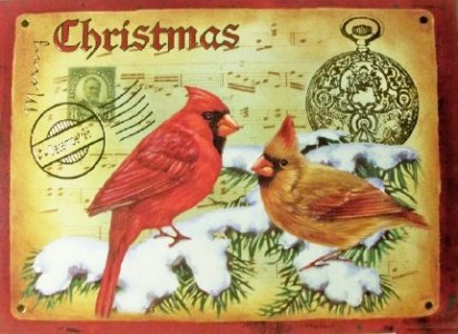 card6a.jpg