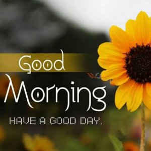 6f20de5116a394e0344c37e802eaeffd[1].jpg