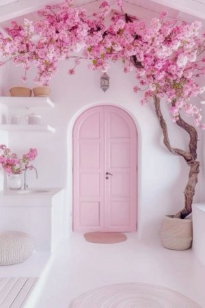 pink door 5.jpg