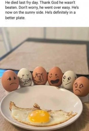 god-he-wasnt-beaten-dont-worry-he-went-over-easy-hes-now-on-sunny-side-hes-definitely-better-p...jpg