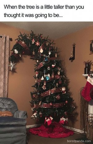 tallertree.jpg