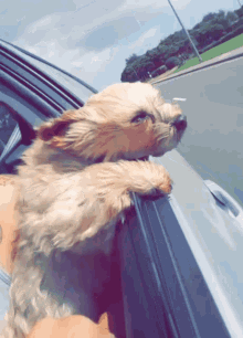 1733518062779.gif