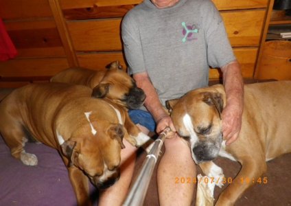 2024-07-30 my pups.jpg