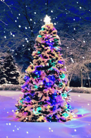 1733578508708.gif