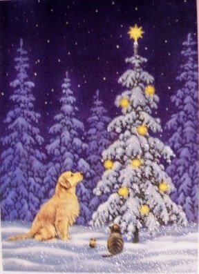 card16a.jpg