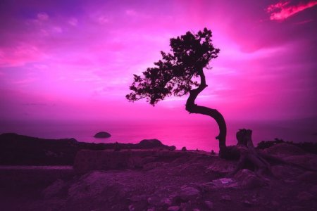magenta sky.jpg