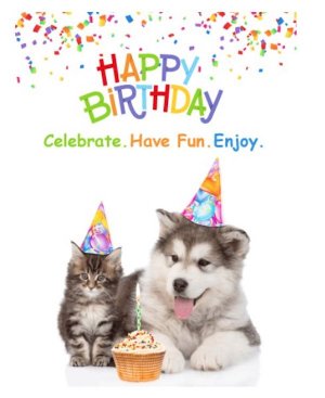 Birthday fun.jpg