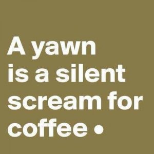 yawn.jpg