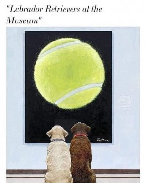 labs.jpg