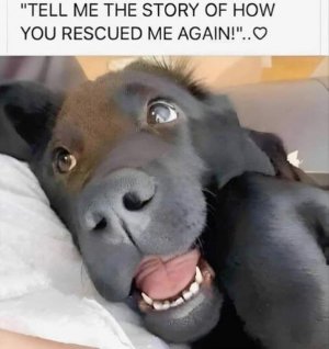1000007089.jpg