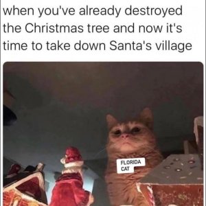 IMG_9768.jpeg