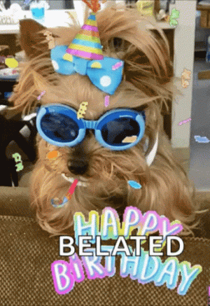 1733747147346.gif