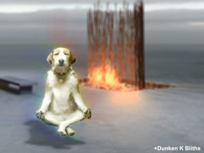 1733749613478.gif