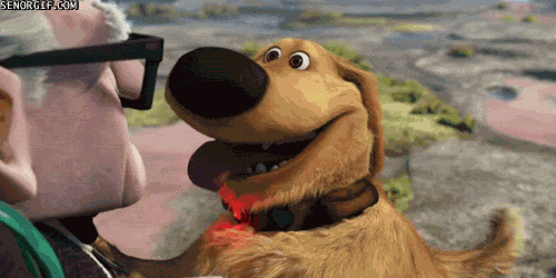 1733750131481.gif