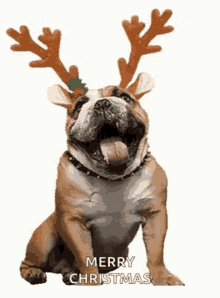 merry-christmas-happy.gif