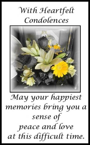 e4f9558abc575b7ce7f95d7162f15c40[1].jpg