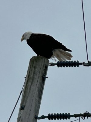 IMG_9360.jpeg