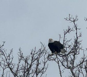IMG_9334.jpeg